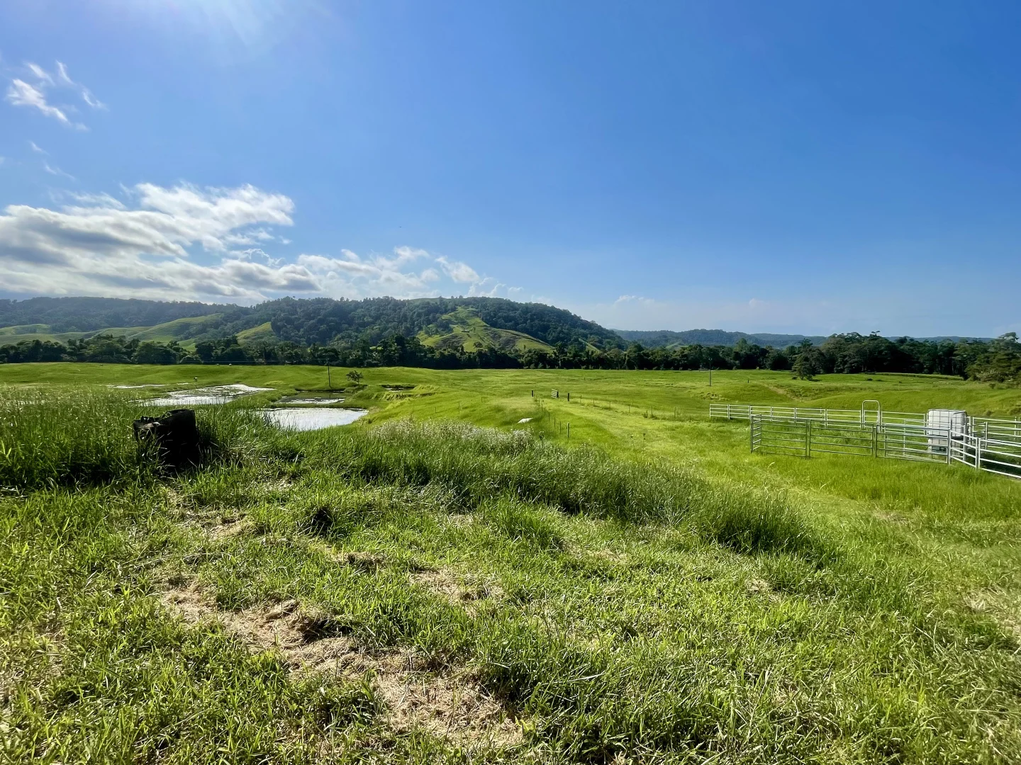 Additional image 5 of 141 Stewart Creek Road, Stewart Creek Valley, Daintree QLD 4873