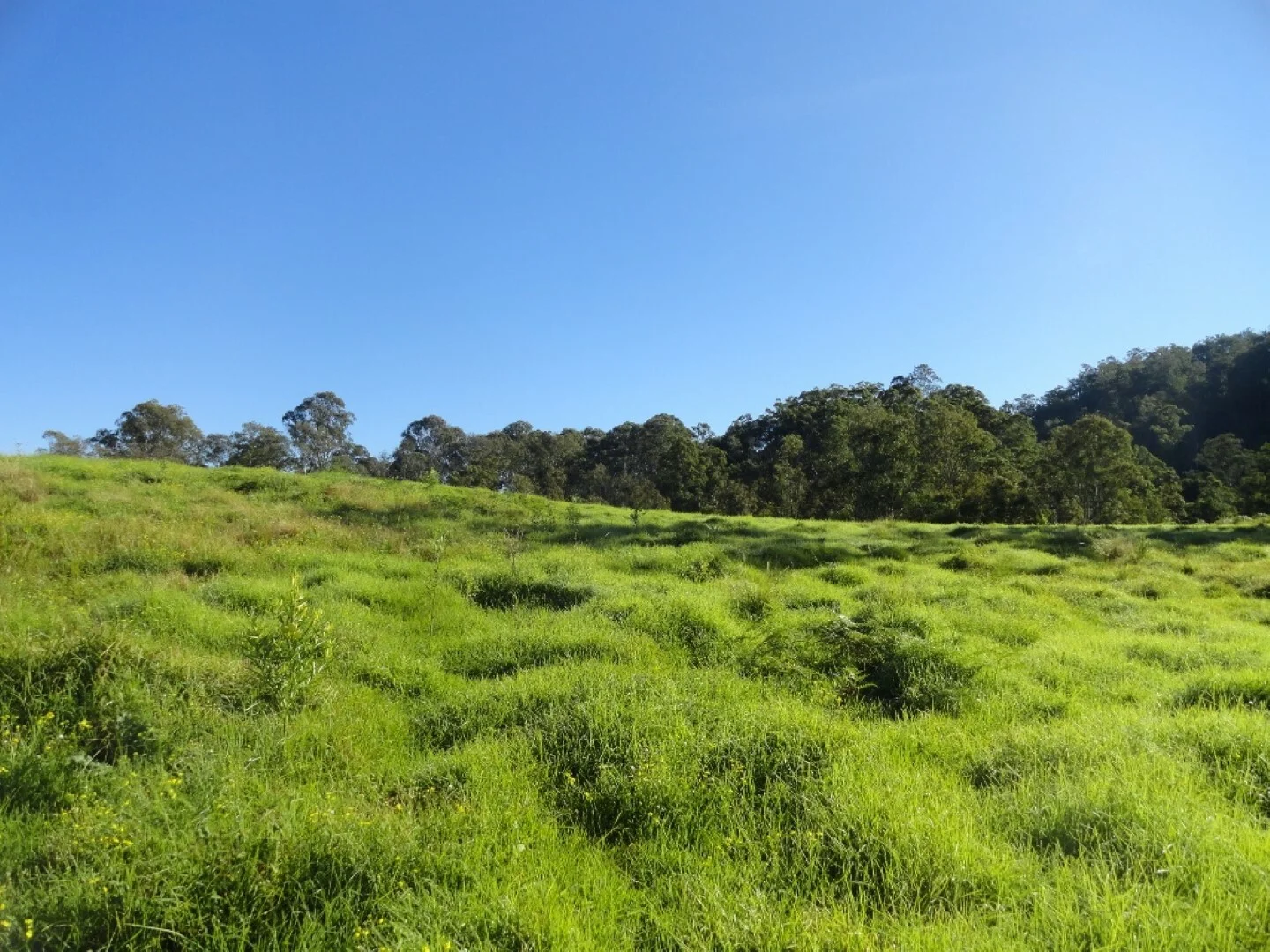 Additional image 15 of 1810 Afterlee Rd, Kyogle NSW 2474