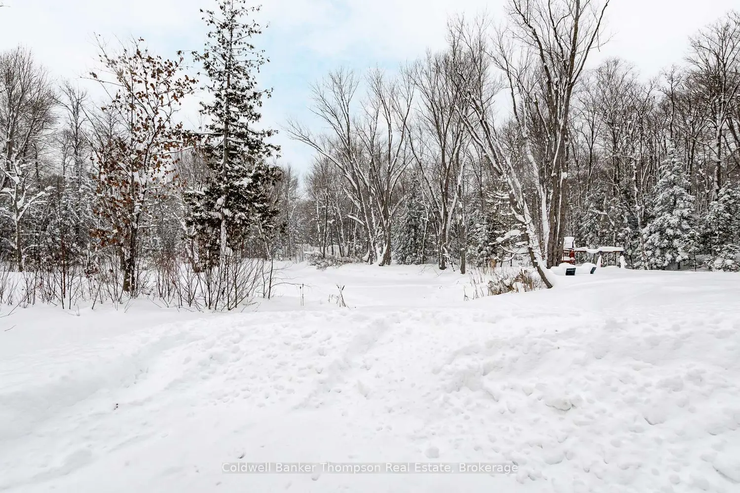 Additional image 20 of 753 Williamsport Road