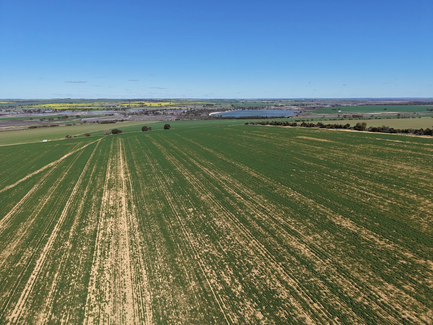 Additional image 15 of Quairading South Road, Dangin WA 6383