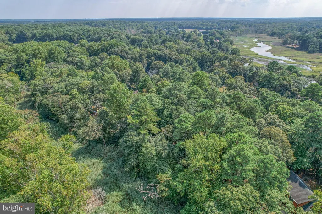 Additional image 25 of 10 Mallard Drive, Dagsboro, DE 19939