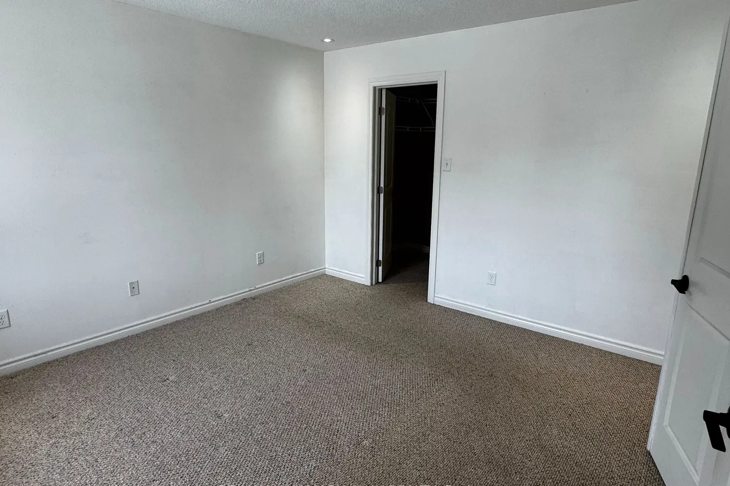 Additional image 11 of 77 White Crescent