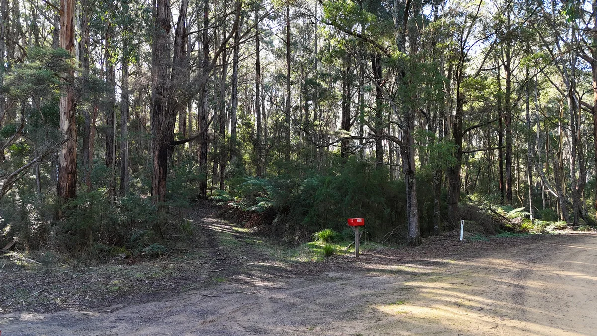 318 Old Ocean Road, Glenaire VIC 3238