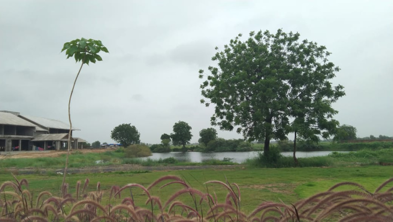 Additional image 3 of Kanij, Ahmedabad