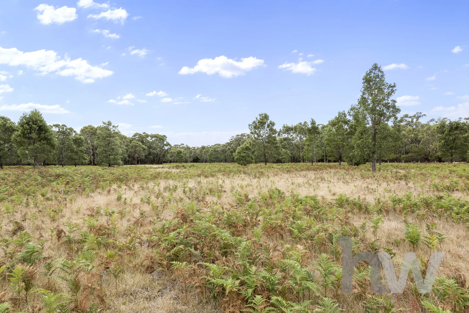 Additional image 15 of 470 Dangers Road, Gherang VIC 3240