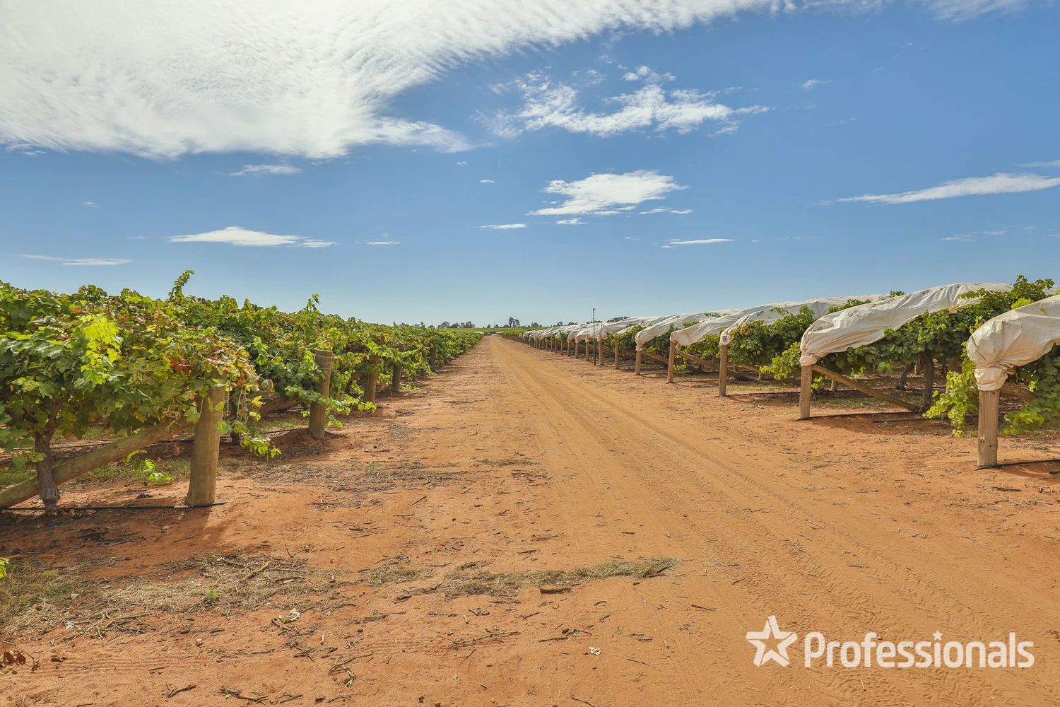 Additional image 8 of 83a Belar Avenue Extension, Irymple VIC 3498