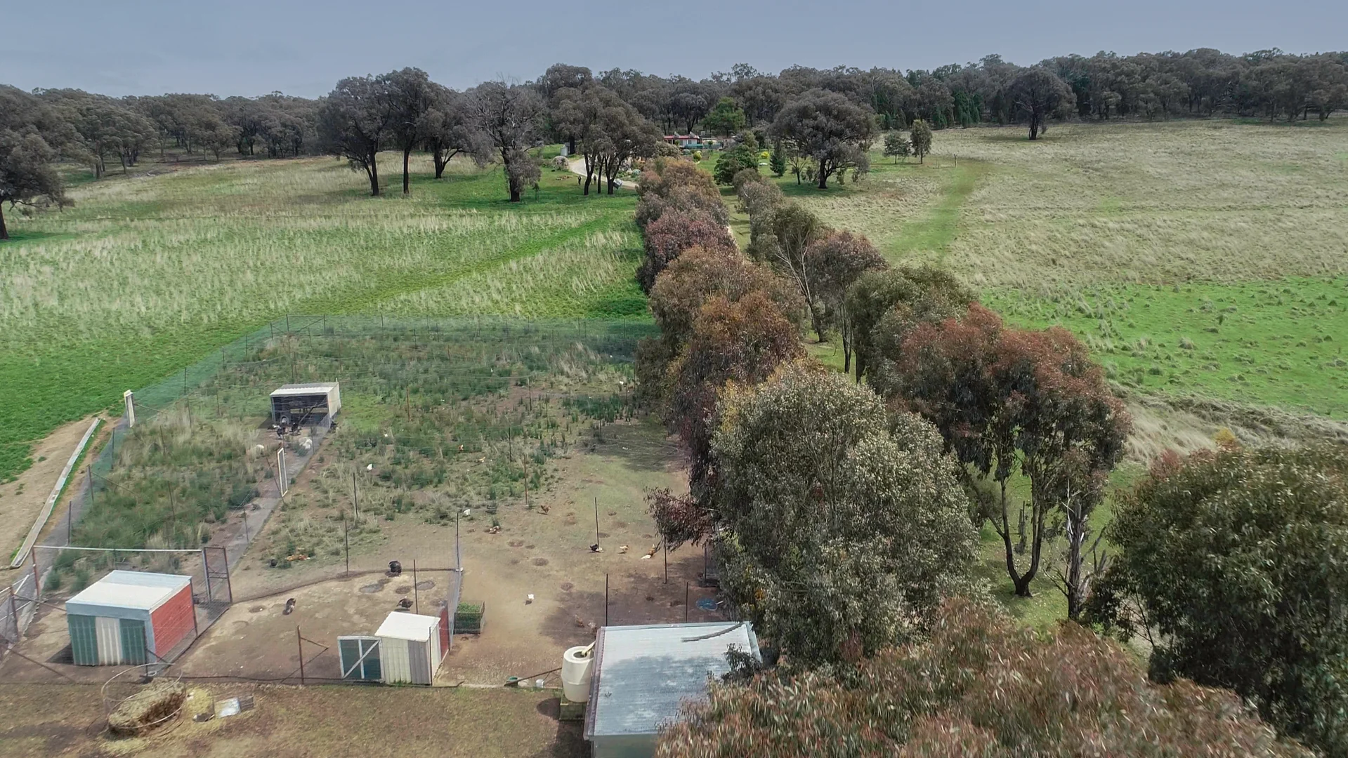 Additional image 12 of 823 Peabody Road, Molong NSW 2866
