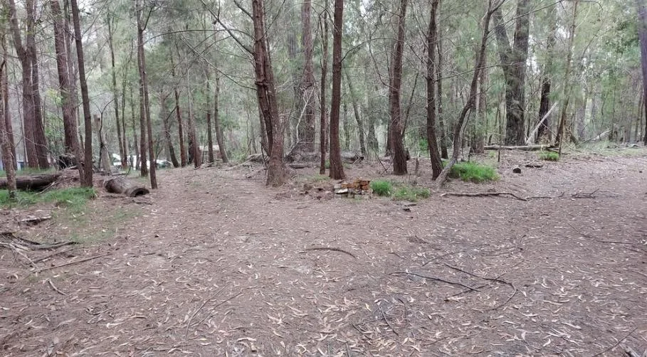 Additional image 8 of 328 Knights Creek Road, Murrah NSW 2546