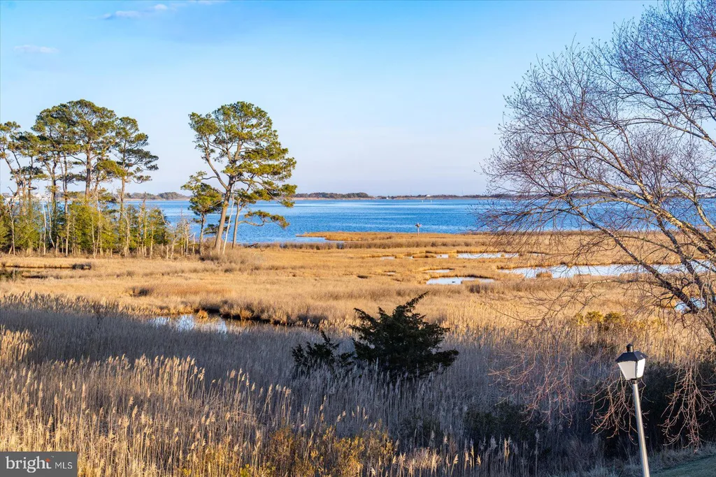 Additional image 79 of 38312 Ocean Vista Drive Unit 1082, Selbyville, DE 19975