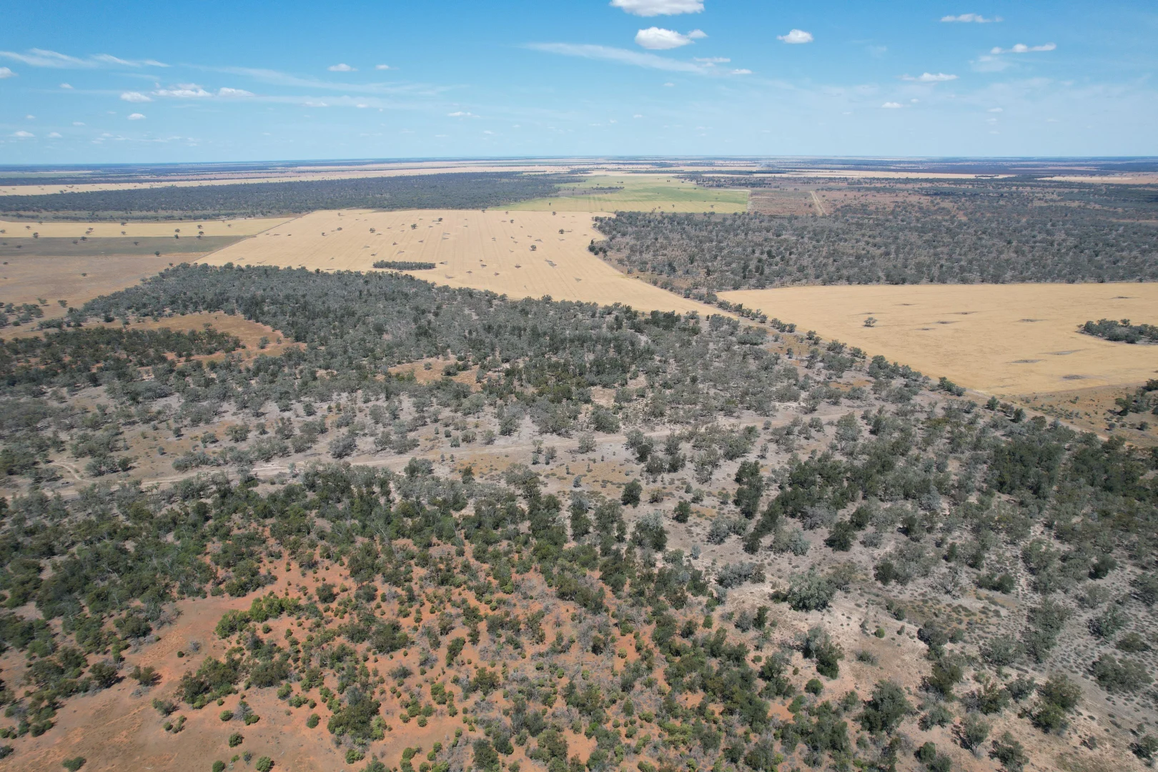 Additional image 16 of 3282 Gungalman Road, Carinda NSW 2831