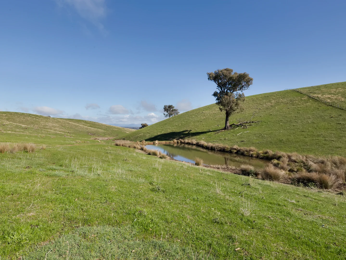 Additional image 25 of 147 Bostock Road, Lurg VIC 3673