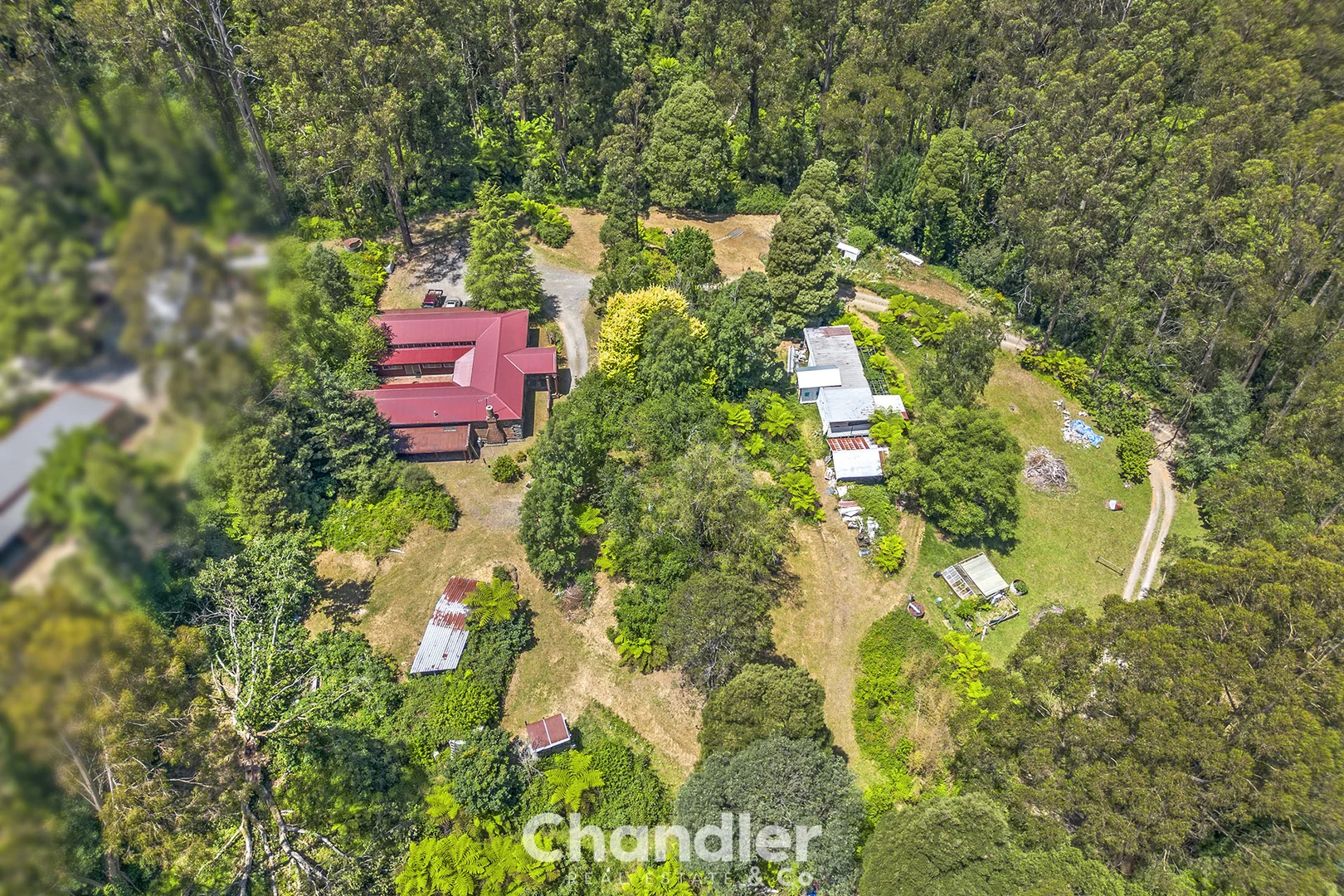 Additional image 3 of 19 Colehurst Crescent, Olinda VIC 3788