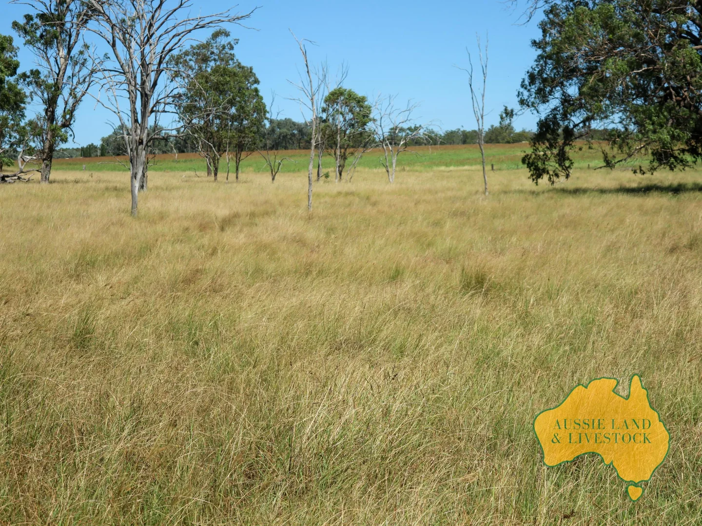 Additional image 23 of 629 Stuart Valley Drive, Haly Creek QLD 4610