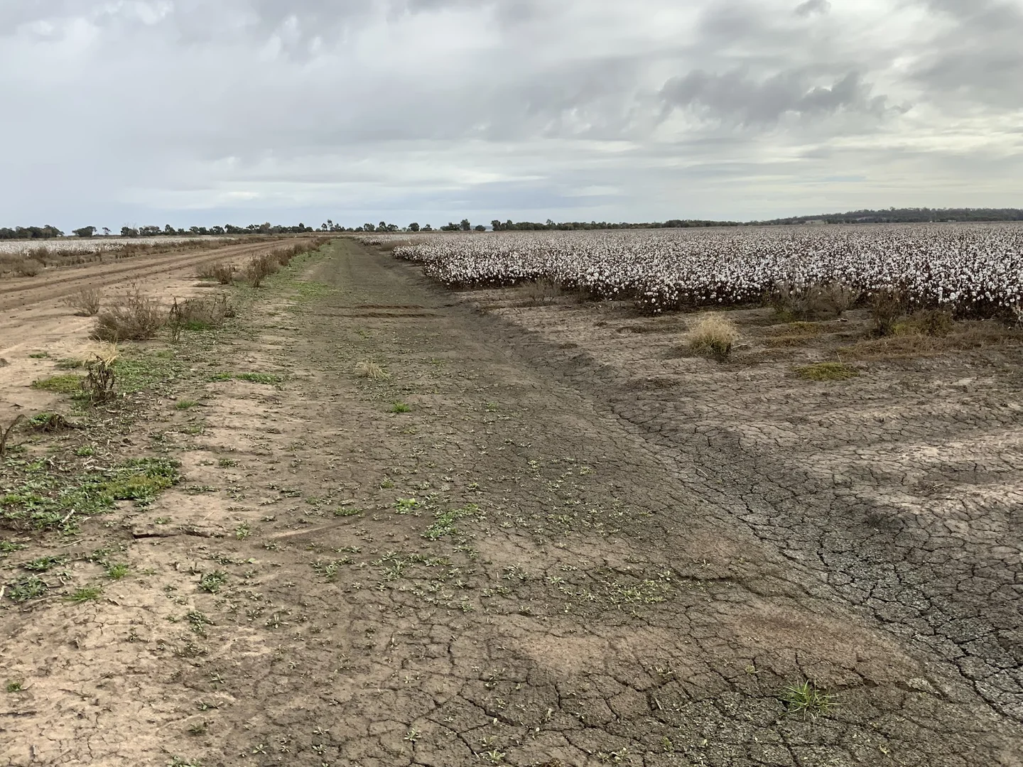 Additional image 7 of Part Farm 1082, 1386 Murrami Road, Leeton NSW 2705