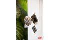 Additional image 8 of 6427 Lindenhurst Ave, Los Angeles, CA, 90048