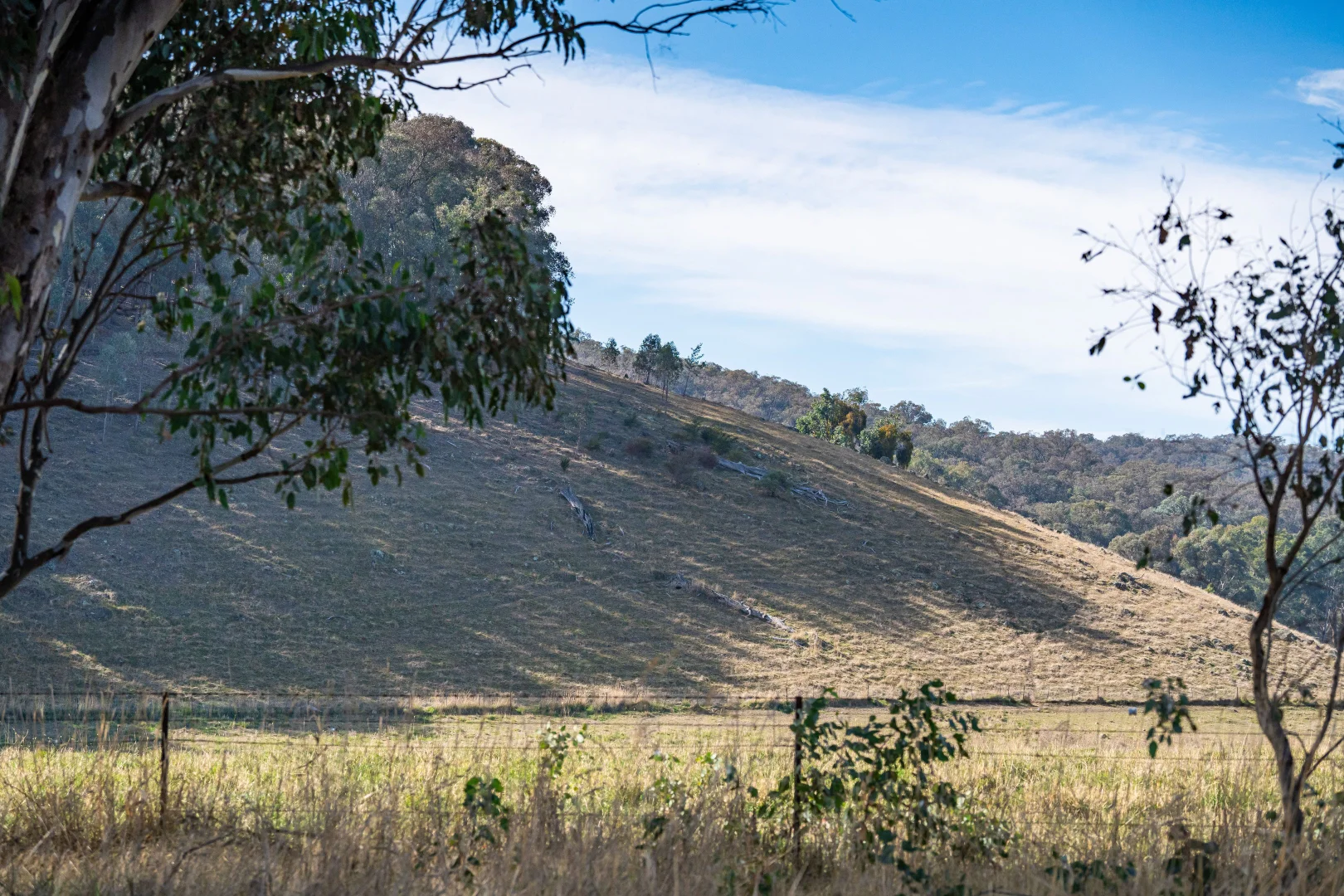 Additional image 10 of 979 Four Mile Lane, Little Billabong NSW 2644