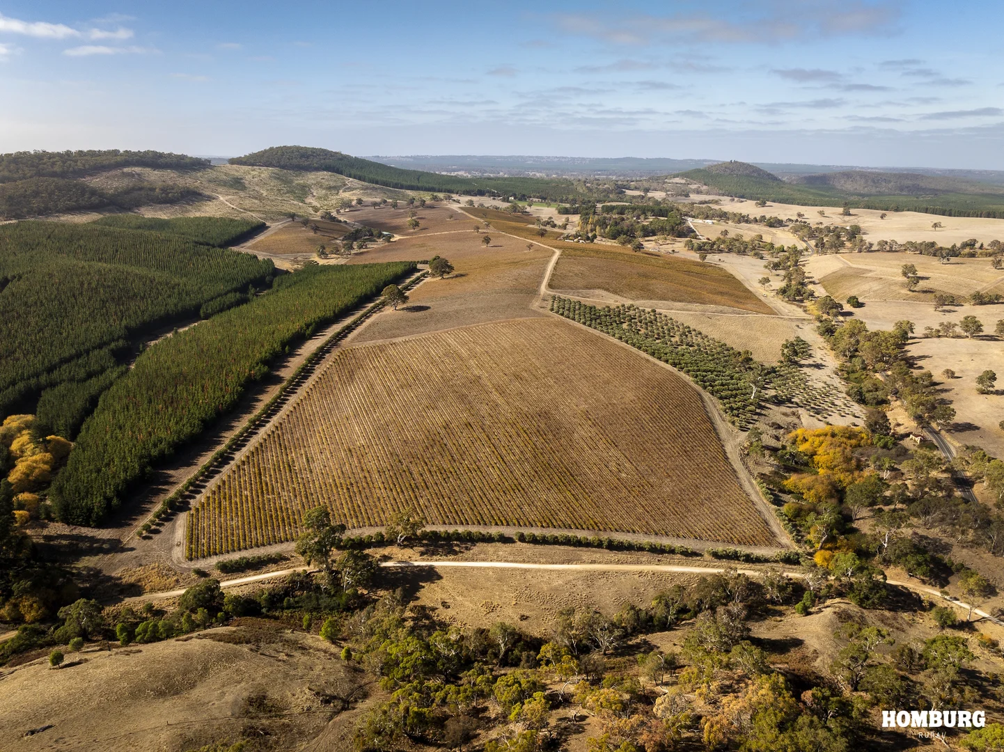 Additional image 2 of 453 Springton Road, Pewsey Vale SA 5351