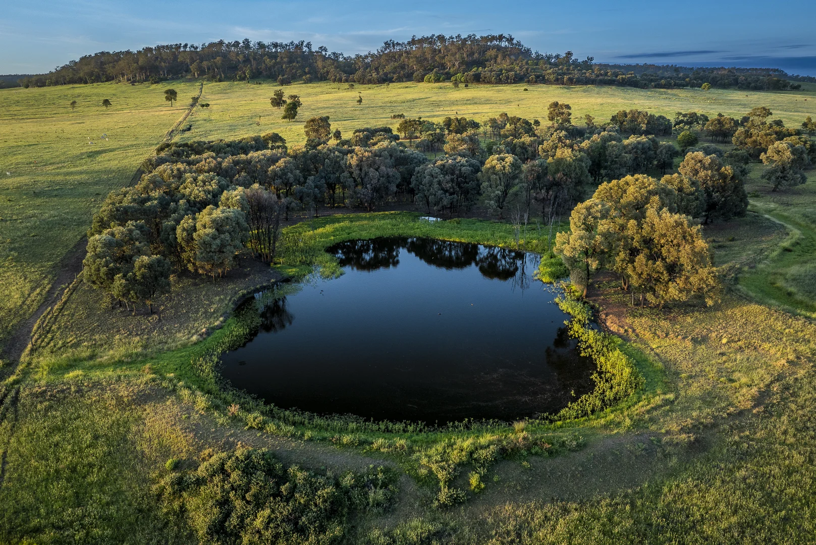 Additional image 18 of 833 Fosters Road, Guluguba QLD 4418