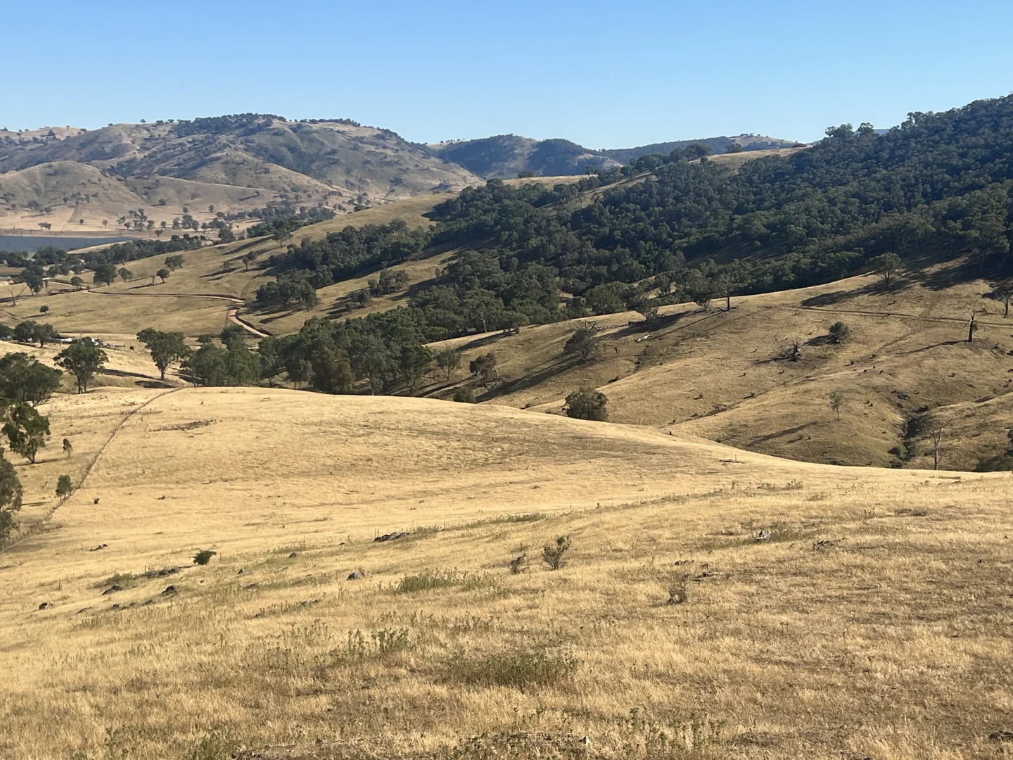 Additional image 10 of Lot 31 Lehmans Road, Talgarno VIC 3691