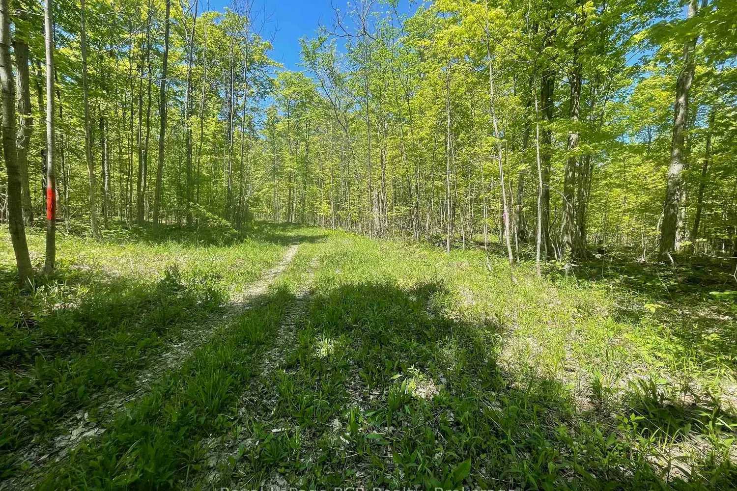 Additional image 19 of N/A Sunny Valley Road