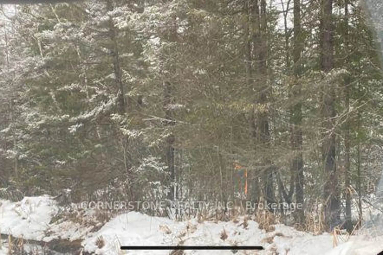 Additional image 3 of 12 Edgar/Station Road Street