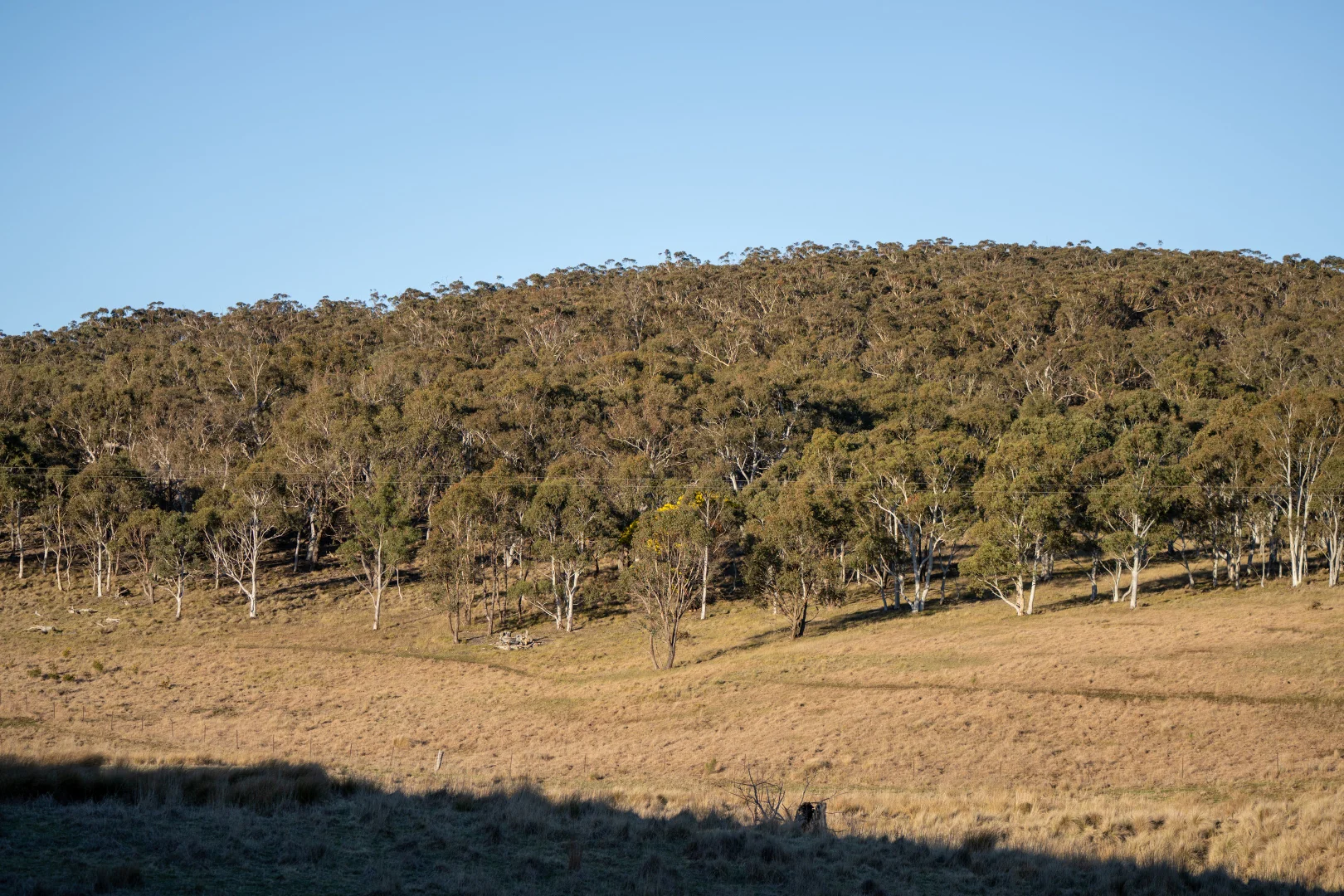 Additional image 12 of 785 Thornford Road, Goulburn NSW 2580