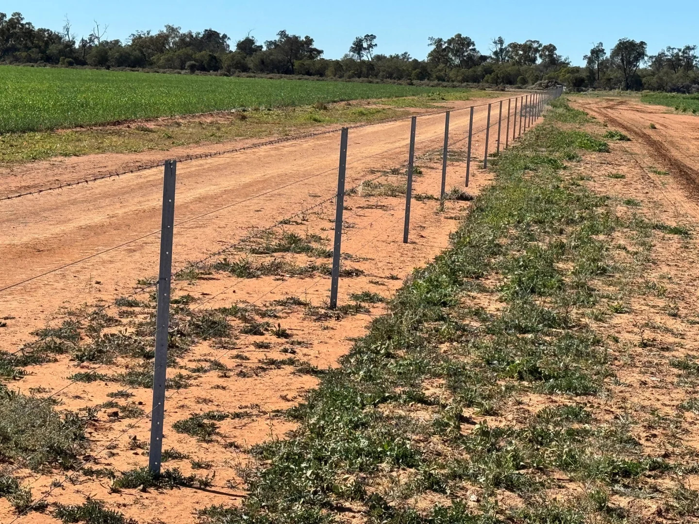 Additional image 27 of 1127 Green and Branders Road, Carinda NSW 2831