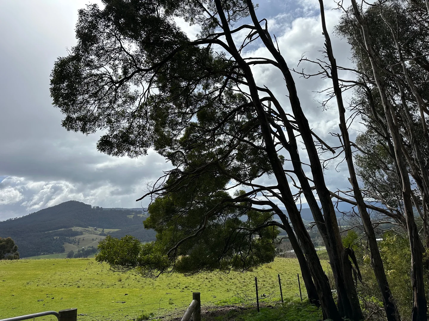 Additional image 10 of 1 Sunny Hills Road, Glen Huon TAS 7109