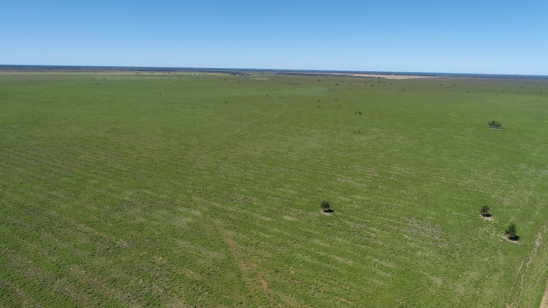 Additional image 40 of "Bonavista" 13724 Mitchell - St George road, Roma QLD 4455