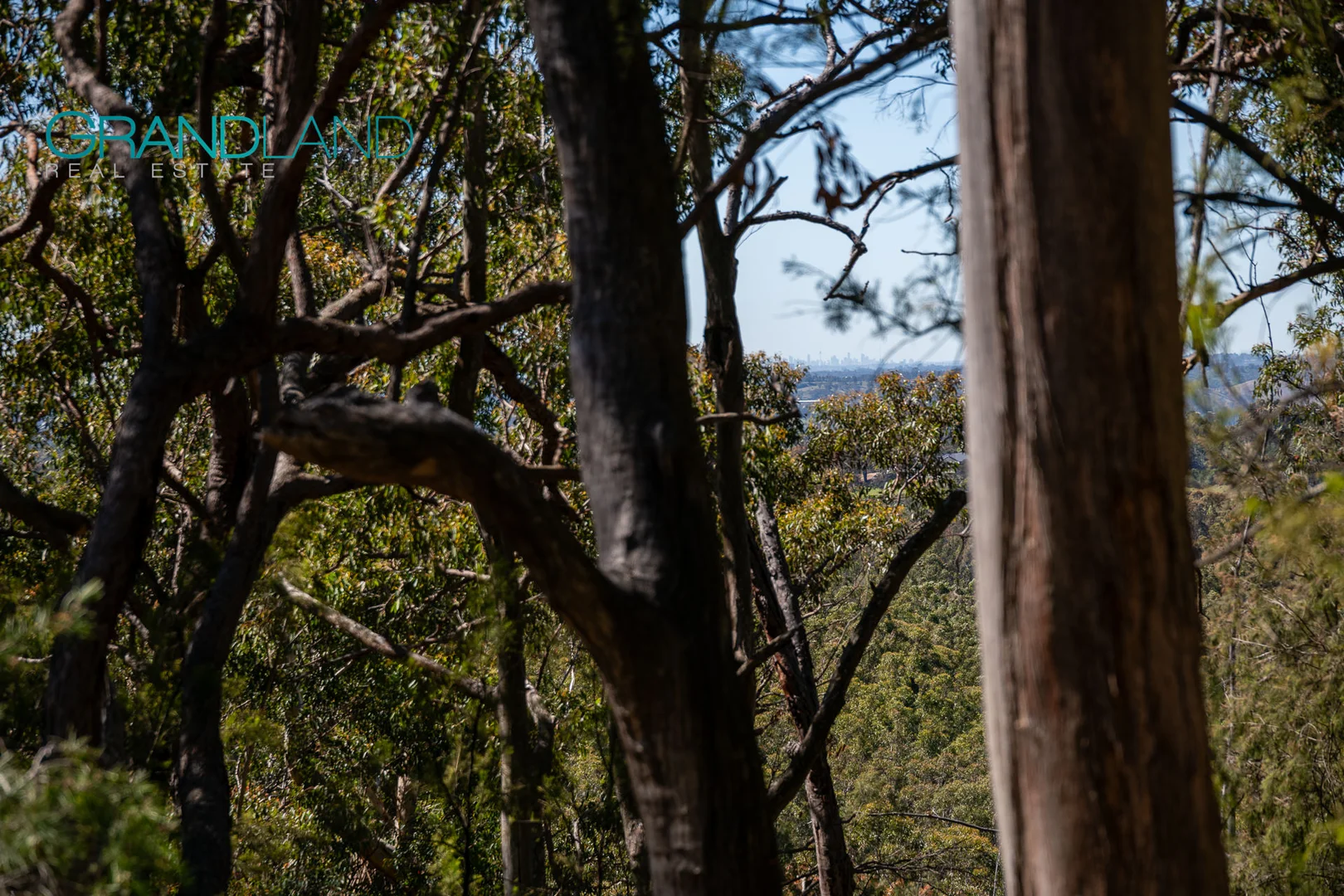 Additional image 9 of 123 News Road, Werombi NSW 2570