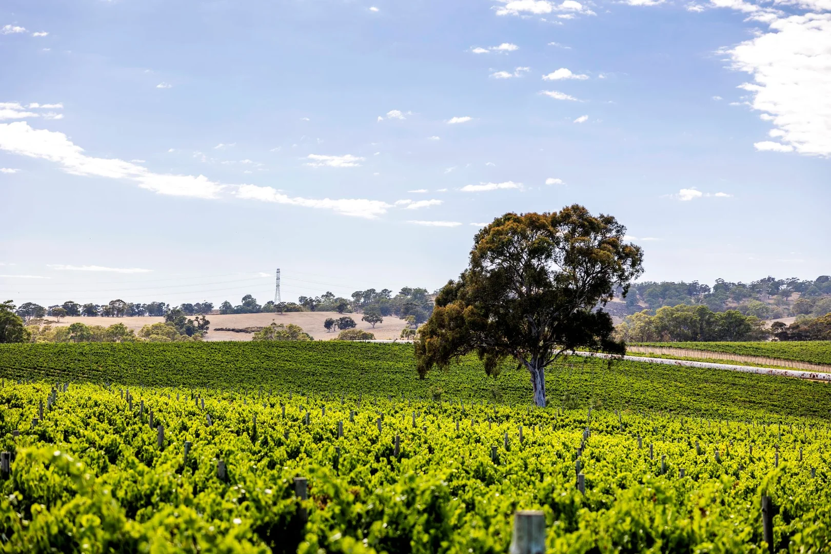 Additional image 2 of 1282 Torrens Valley Road, Birdwood SA 5234