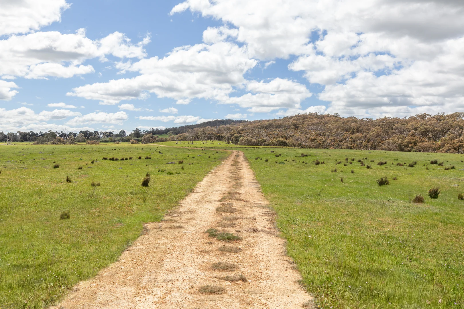 Additional image 14 of 35, 35A, 42 & 42A Romsey Road, Chintin VIC 3756