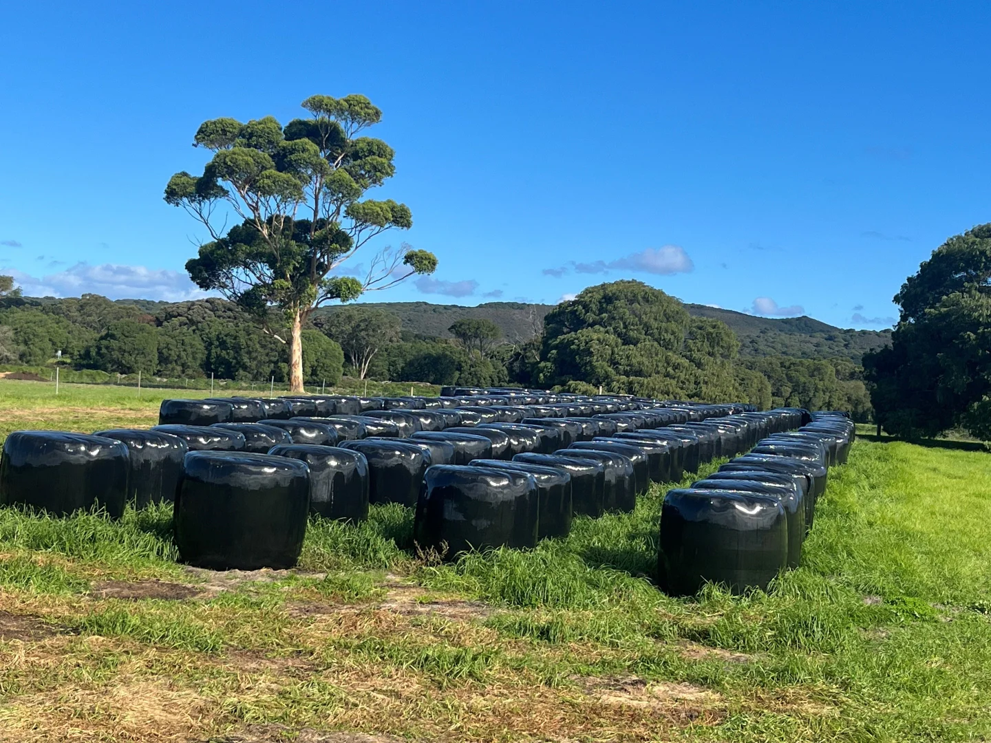 Additional image 14 of 181 Francis Road, Lowlands WA 6330