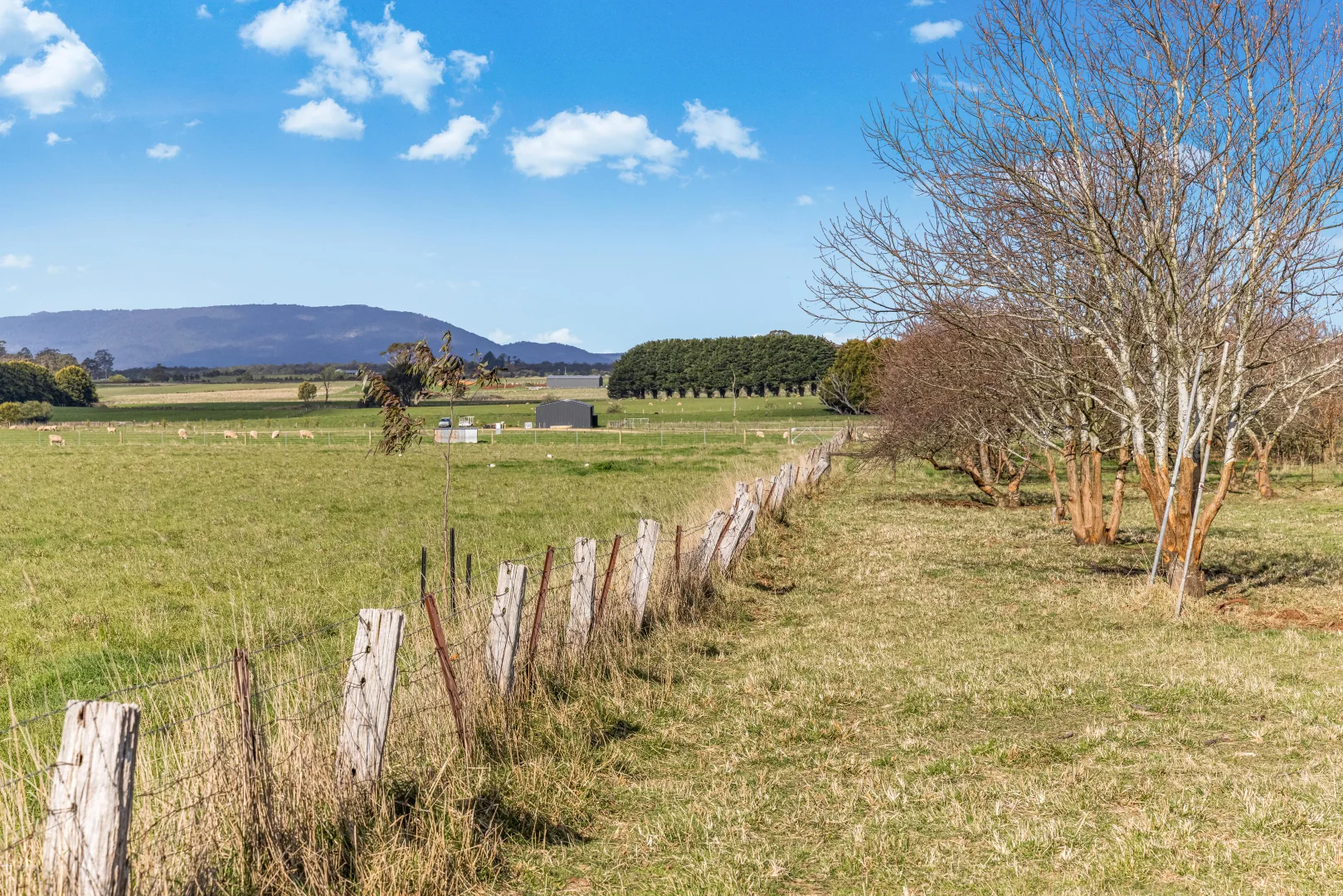 Additional image 3 of 703A James Lane, Trentham East VIC 3458