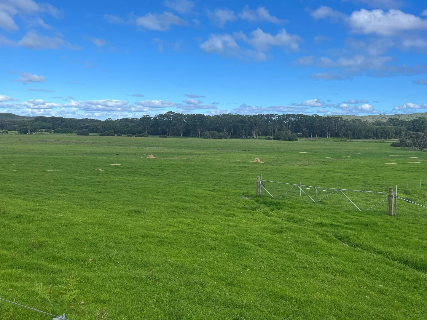 Additional image 5 of 181 Francis Road, Lowlands WA 6330