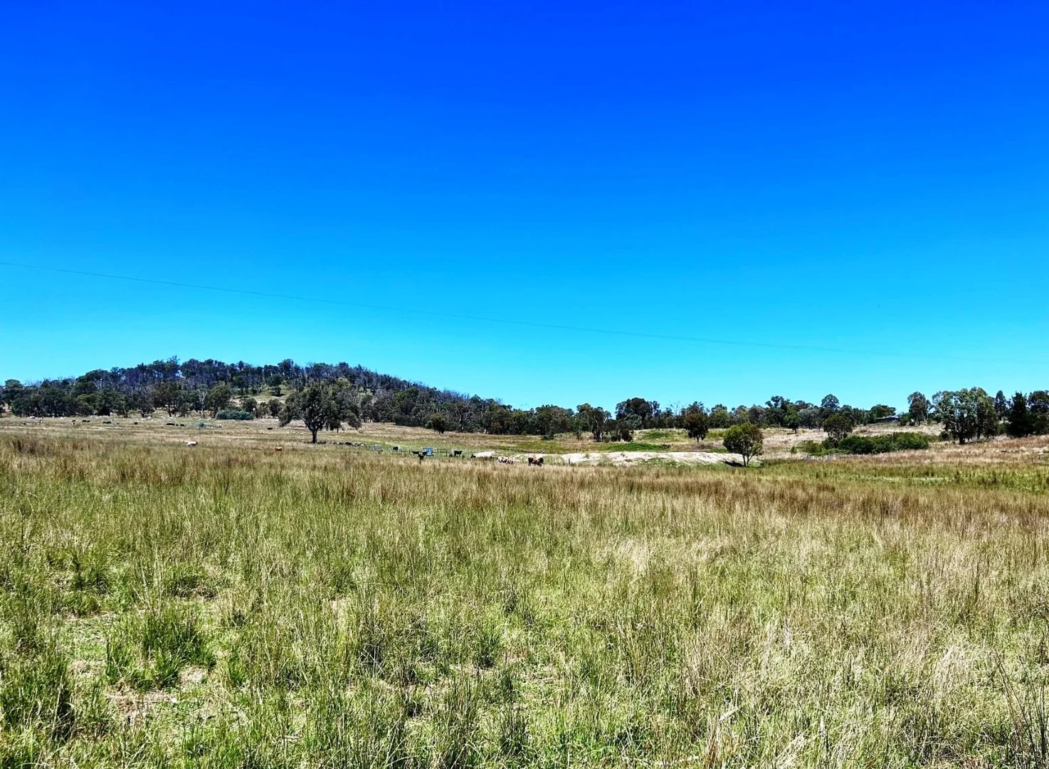 Additional image 6 of Lot 322 Jenkyn Lane, Uralla NSW 2358
