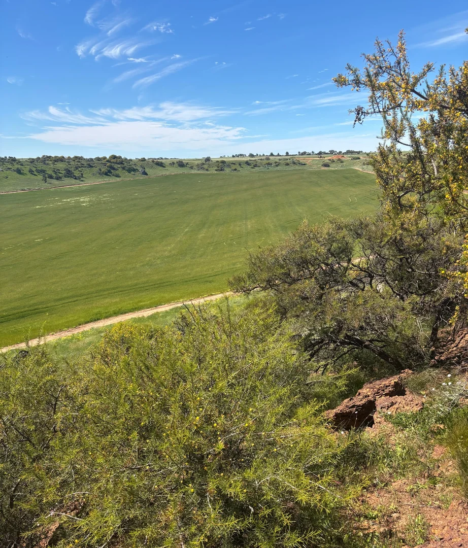 Additional image 14 of 9500 Chapman Valley Road, Narra Tarra WA 6532