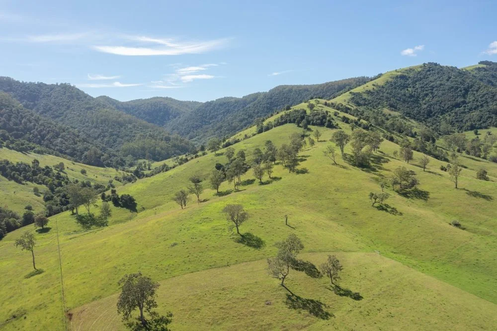 Additional image 17 of 176 McMillans Road, Ellenborough NSW 2446