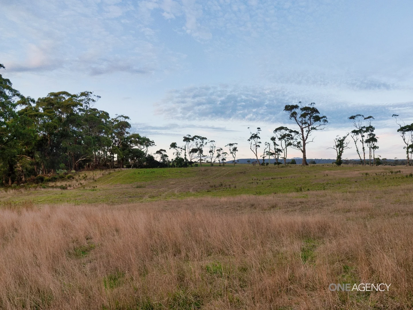 Additional image 5 of Lot 1 Boyndey Road, Black River TAS 7321