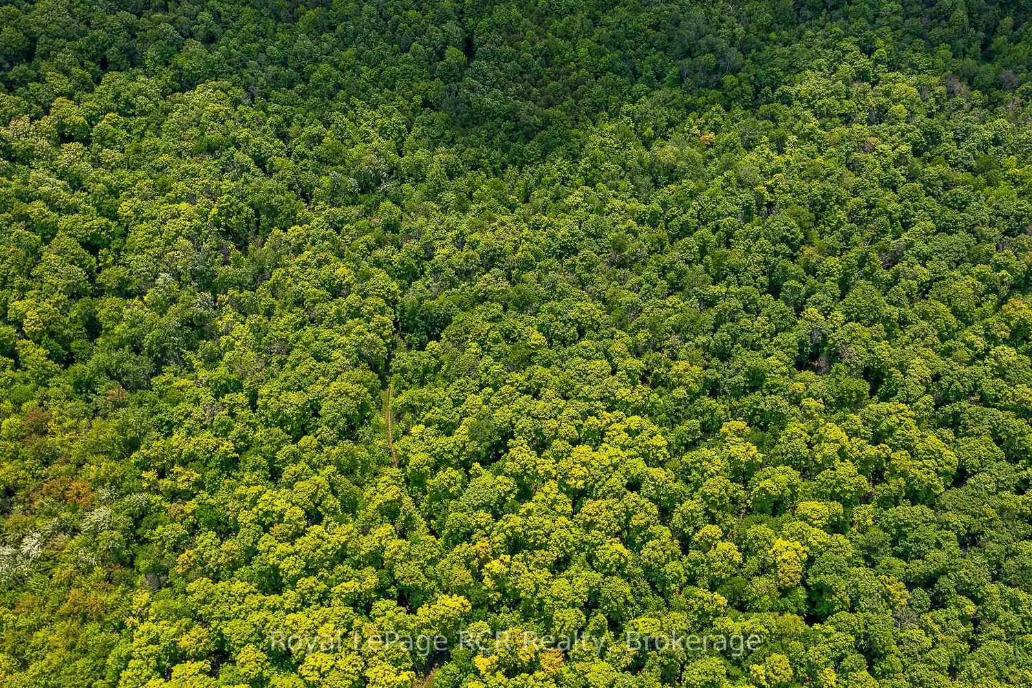 Additional image 6 of N/A Sunny Valley Road