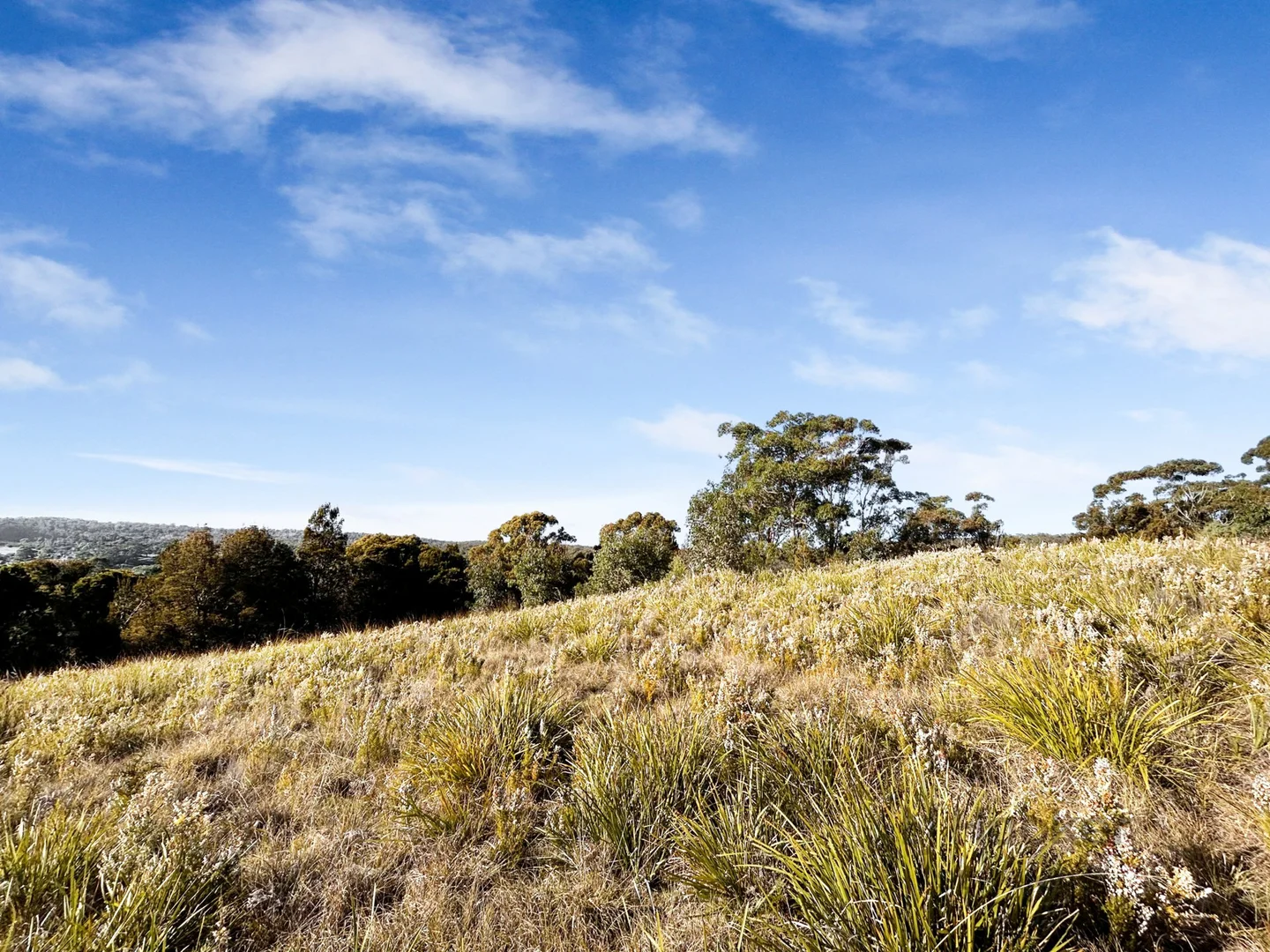 Additional image 7 of 35a Falmouth Street, St Helens TAS 7216
