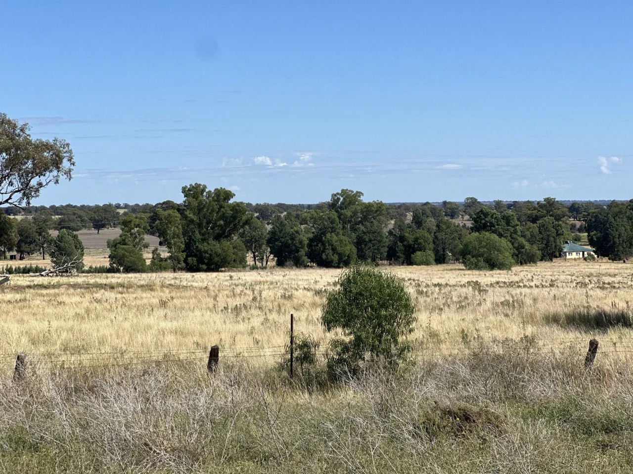 Additional image 3 of 48 Furners Lane, Trewilga NSW 2869