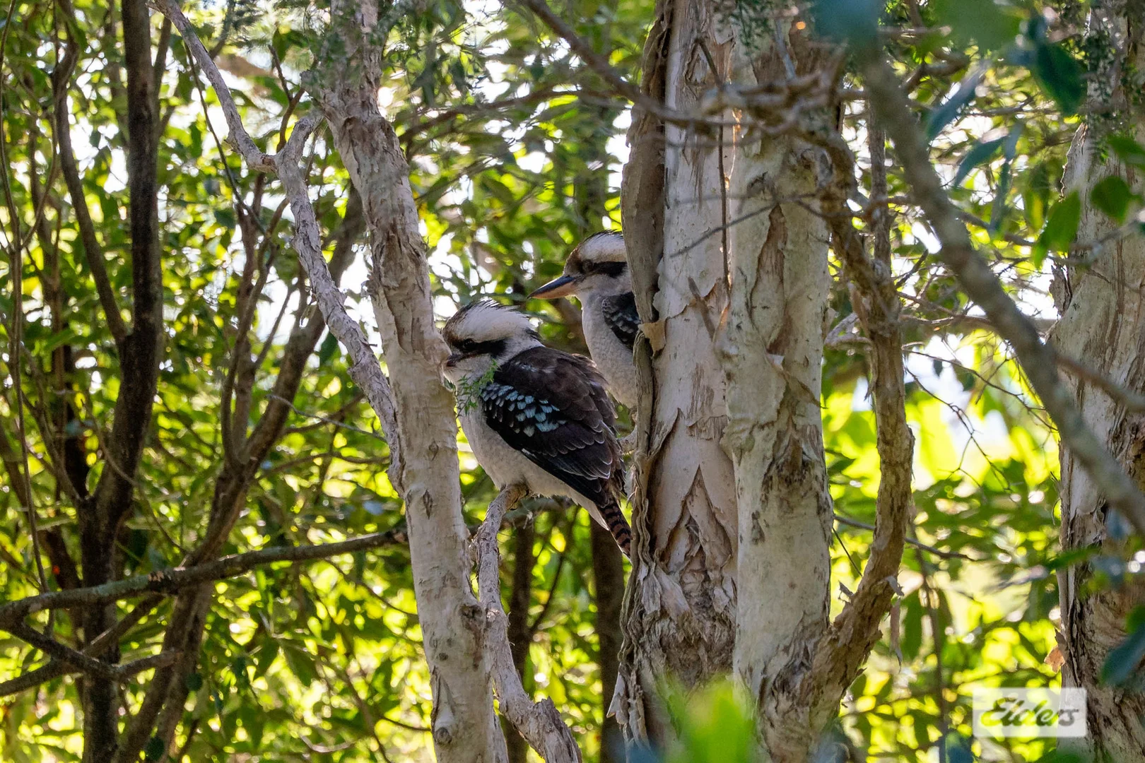 Additional image 24 of 15 Wyalla Road, Jamberoo NSW 2533