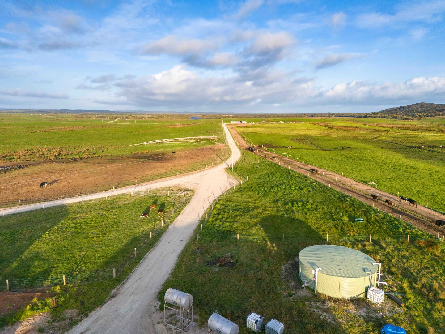 Additional image 11 of Rushy Lagoon TAS 7264