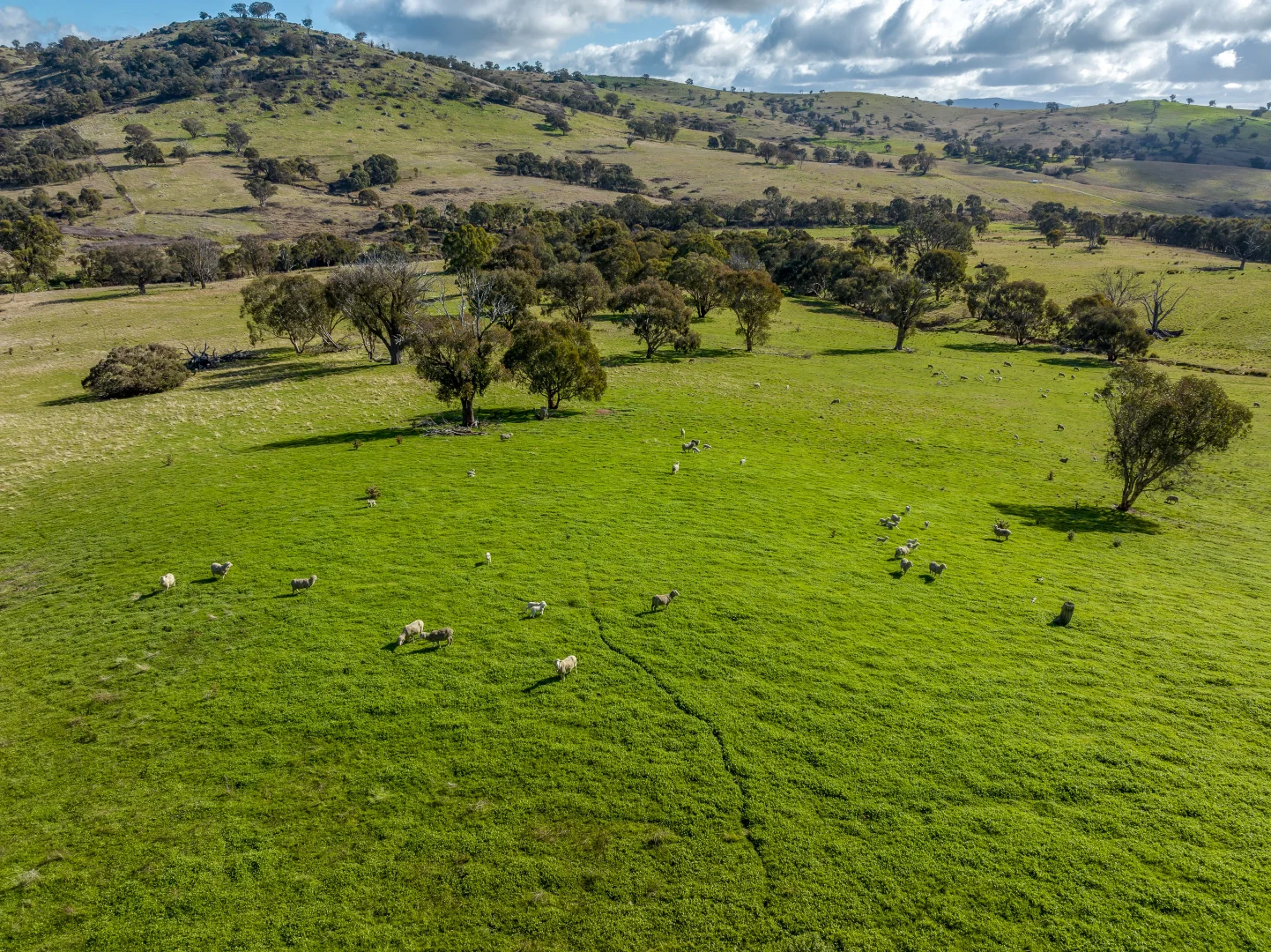 Additional image 5 of 2306 Bigga Road, Bigga NSW 2583