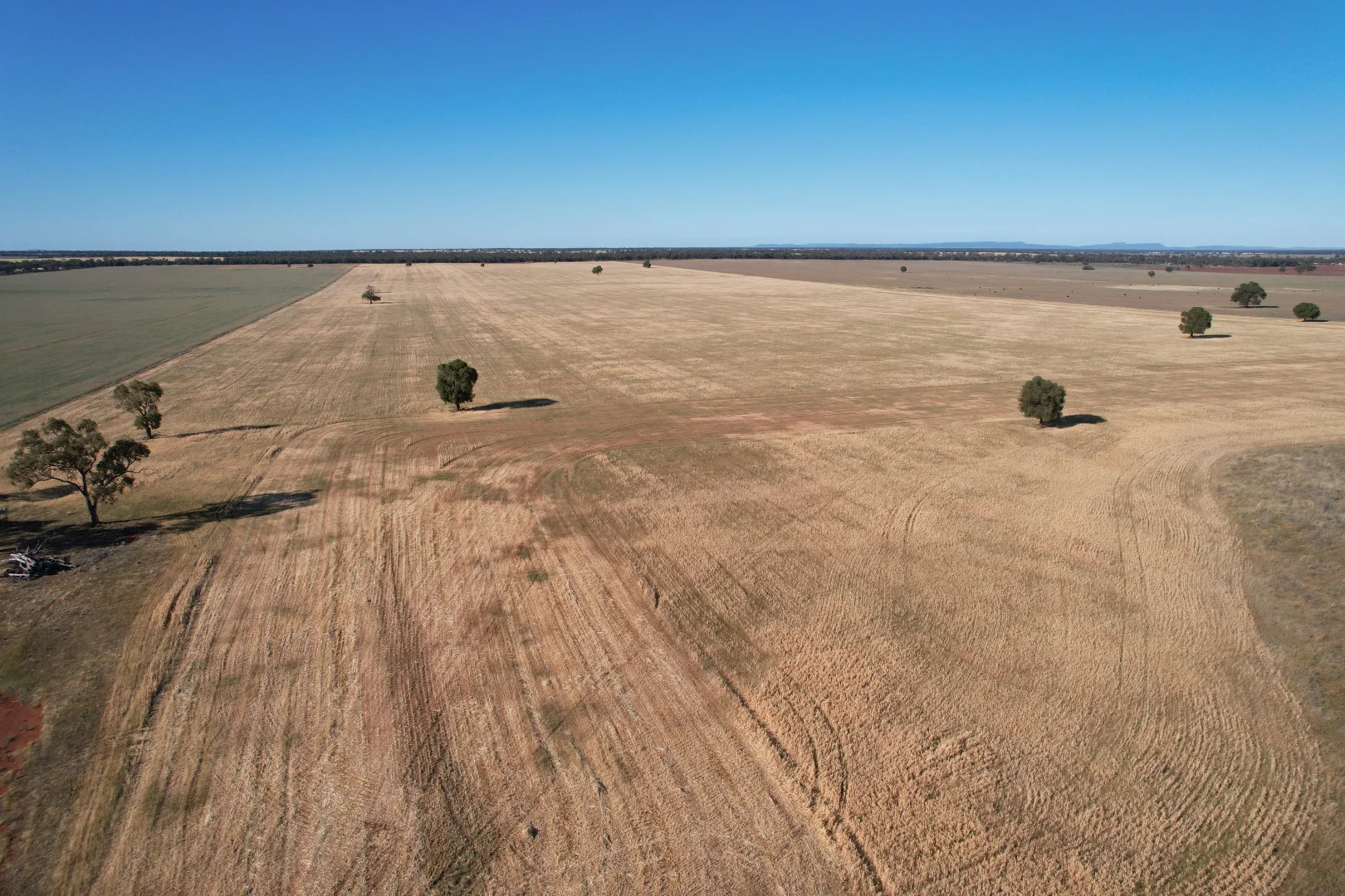 Additional image 12 of 'Boree Glen' 456 Whymarks Lane, Tullibigeal NSW 2669