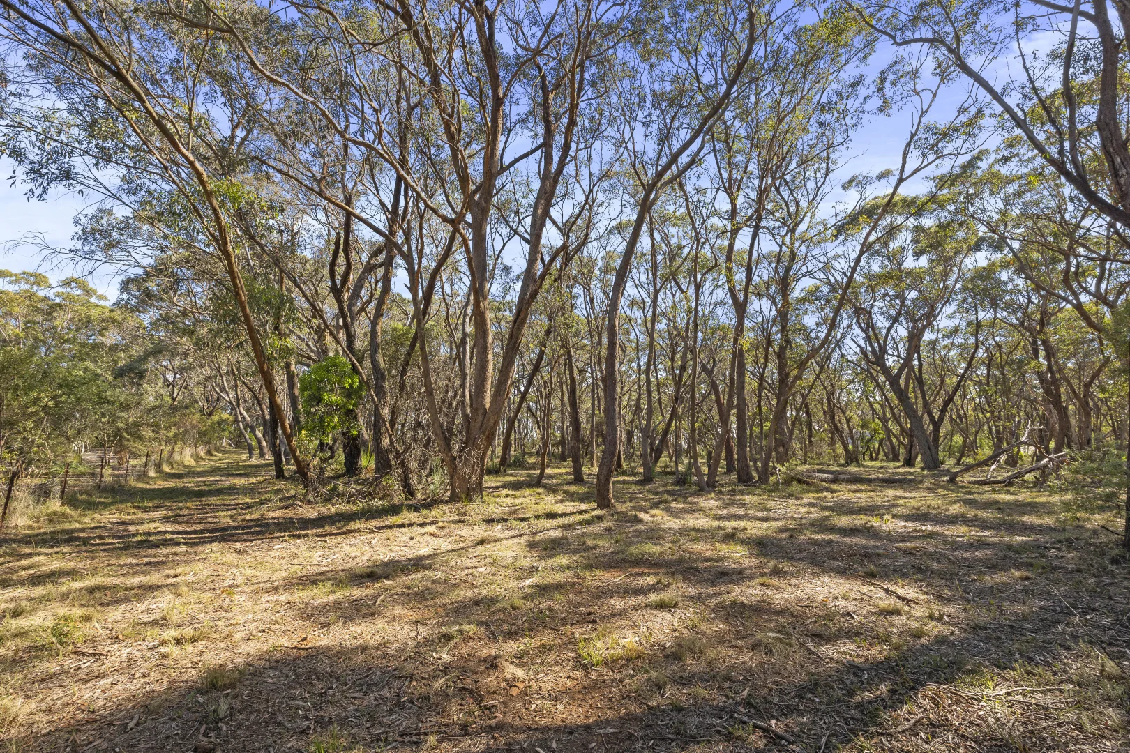 Additional image 5 of 26 Forest Park Road, Blackheath NSW 2785