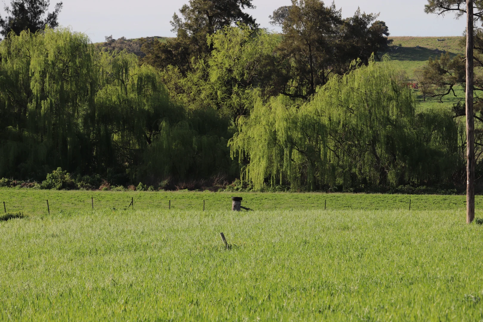 Additional image 22 of 2350 George Russell Drive, Canowindra NSW 2804