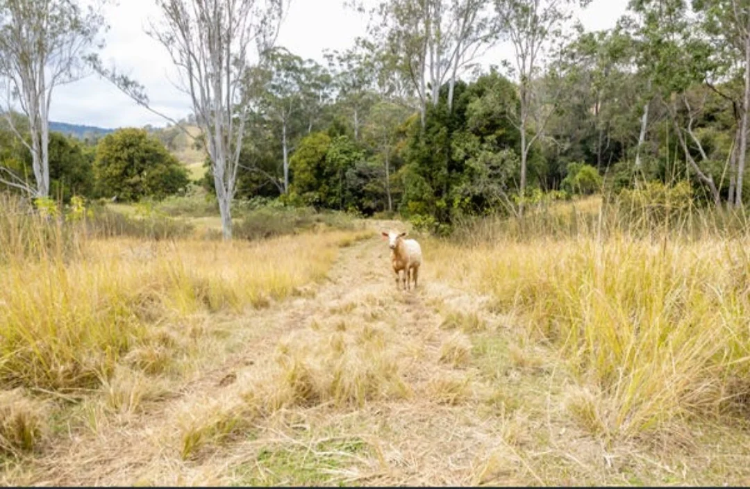 Additional image 6 of 53-153 Delaney Creek Road, Delaneys Creek QLD 4514