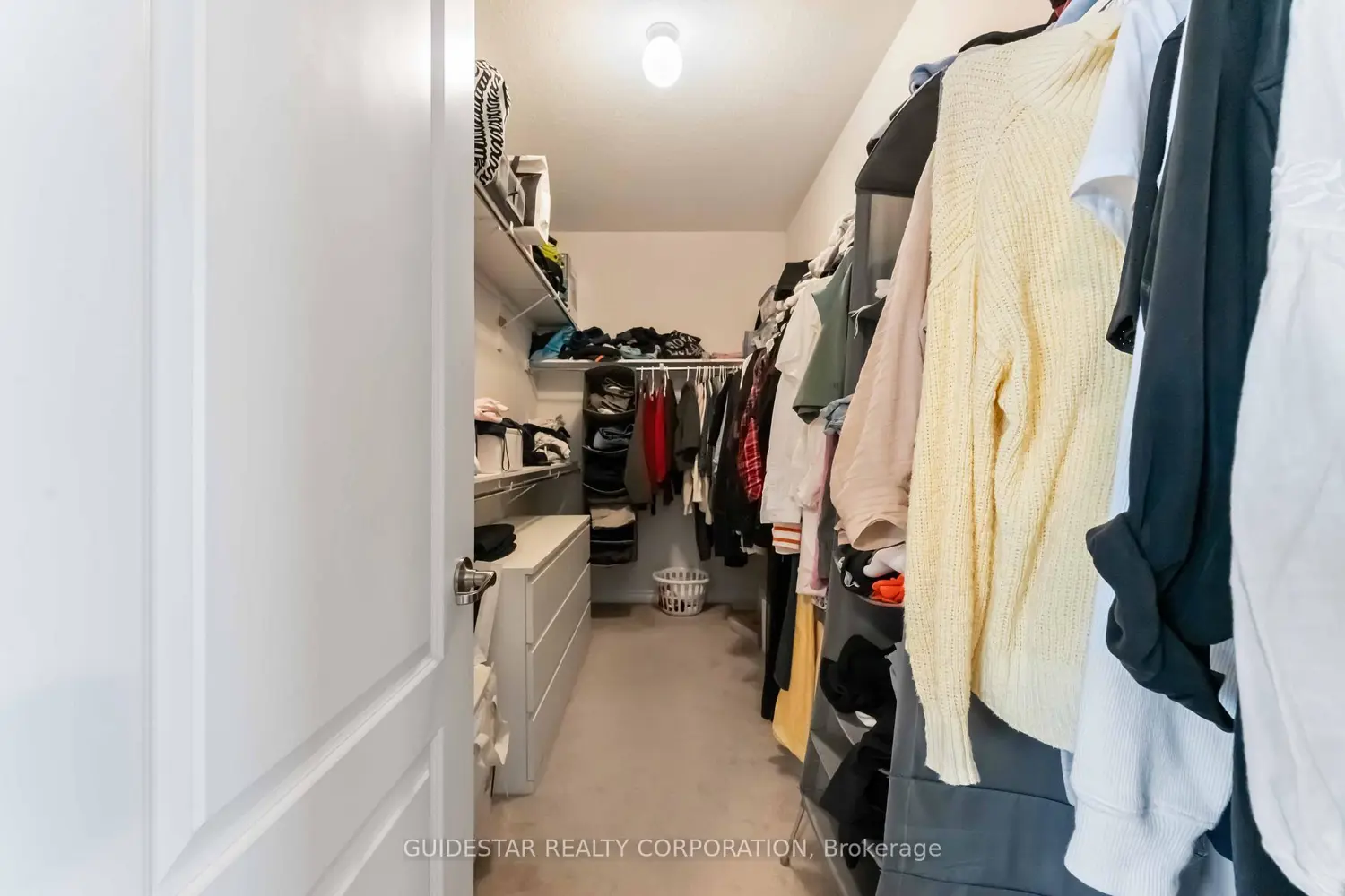 Additional image 10 of 30 Oxalis Crescent